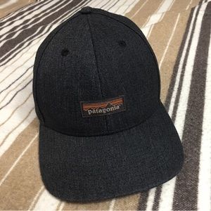 Patagonia Label Hat ✨